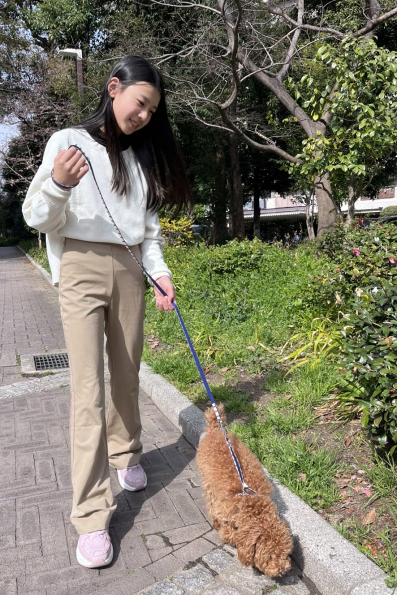あんじゅ